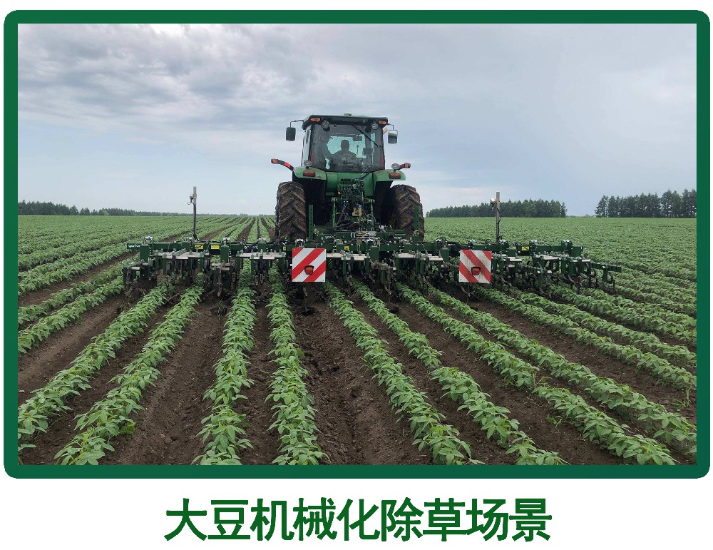 大豆机械化除草场景